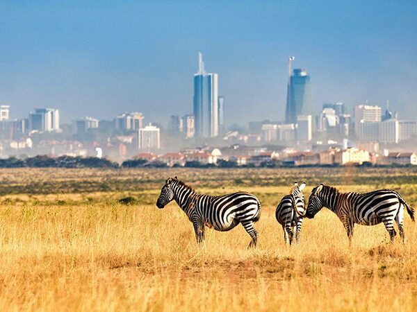 National Parks in Kenya