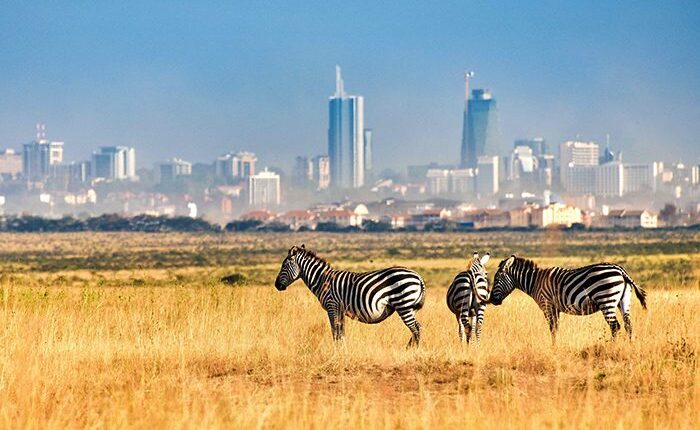 National Parks in Kenya