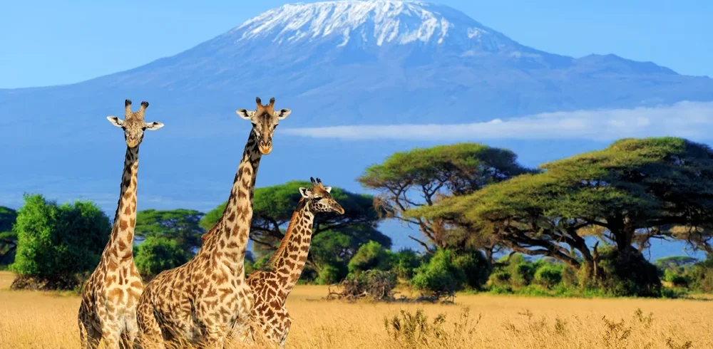 Tanzania Travel Destinations