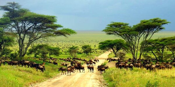 Kenya's top tourist destinations