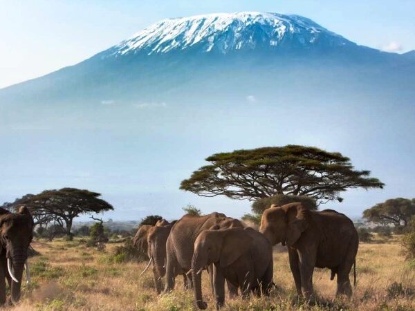 Game Reserves in Kenya