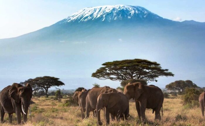 Game Reserves in Kenya