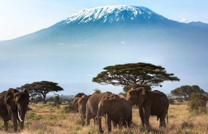 Game Reserves in Kenya